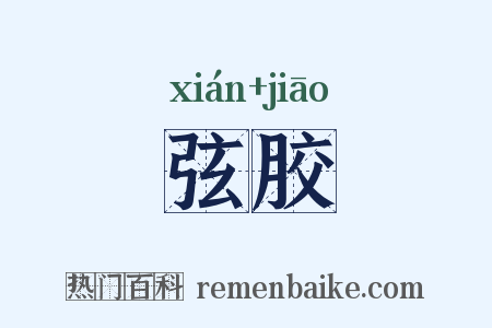 弦胶是什么意思的图片